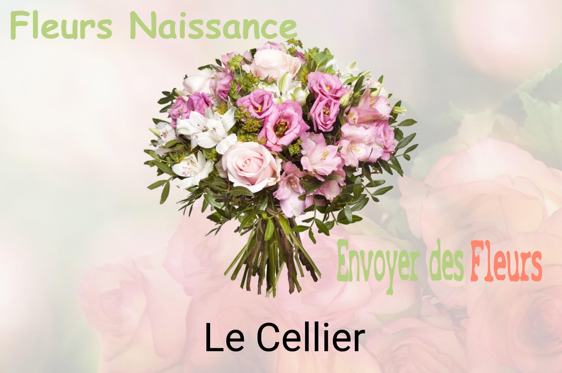 Bouquet de fleurs de naissance livré à Le Cellier