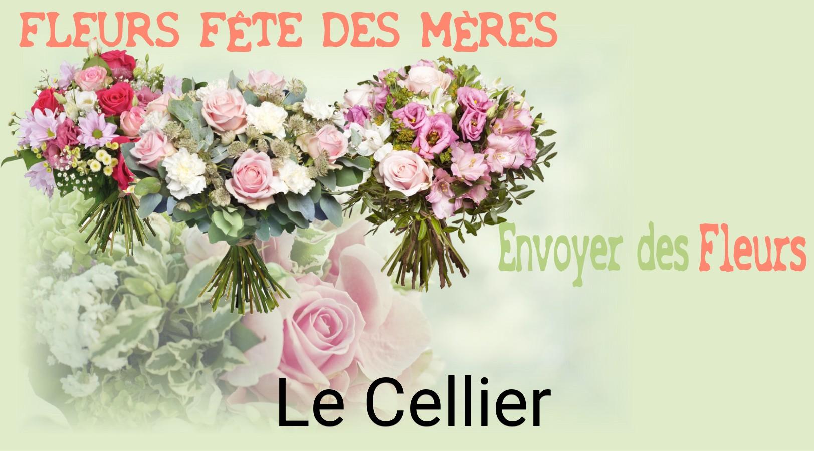 Bouquet de Fête des Mères livré à Le Cellier